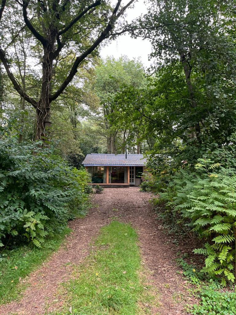 Huisje In Het Bos Zuidlaren Exterior foto